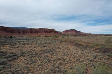 Capitol Feef Ulusal Parkı 'nın dışındaki Torrey Utah' ta çöl manzarası.