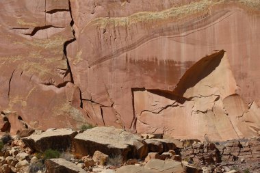 Petrogylphs 'in Capitol Resifi Ulusal Parkı Utah' taki fotoğrafı