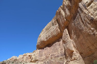 Fotoğraf: Capitol Resifi Ulusal Parkı Utah