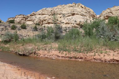 Fotoğraf: Capitol Resifi Ulusal Parkı Utah