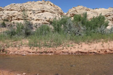 Fotoğraf: Capitol Resifi Ulusal Parkı Utah