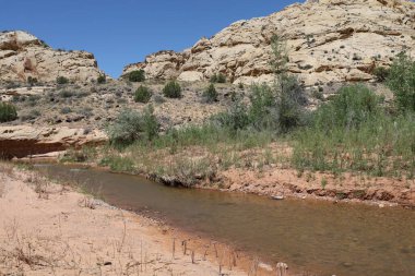 Fotoğraf: Capitol Resifi Ulusal Parkı Utah