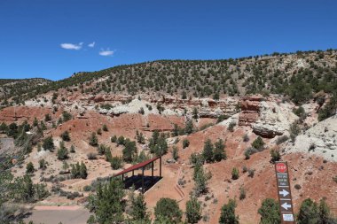 Taşlaşmış orman parkının fotoğrafı Utah