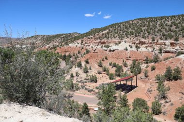 Taşlaşmış orman parkının fotoğrafı Utah