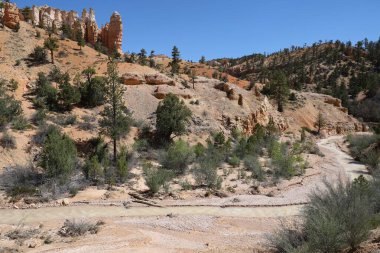 Yosunlu mağaranın ve suyun fotoğrafı.