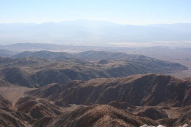 Joshua Tree Ulusal Parkı Kaliforniya