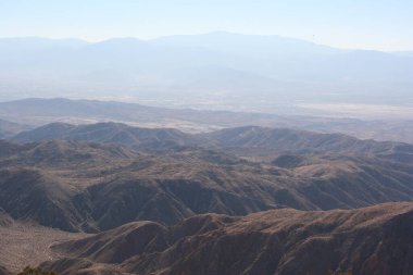 Joshua Tree Ulusal Parkı Kaliforniya