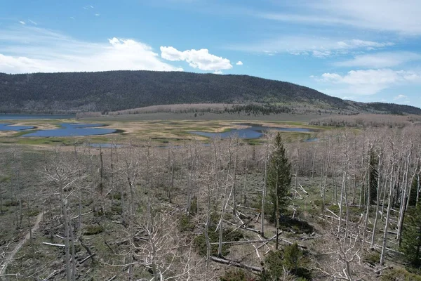 Flygfoto Fisksjön Utah — Stockfoto