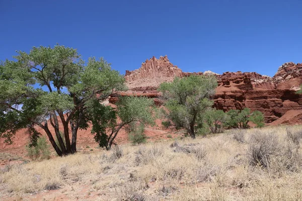 Foto Van Nationaal Park Capitol Reef Utah — Stockfoto