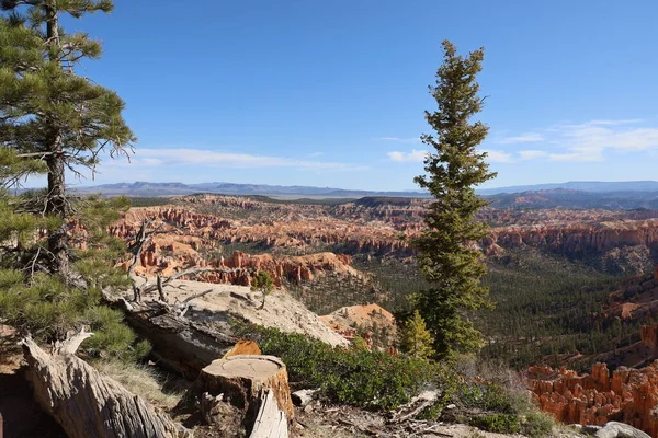 Fotó Bryce Canyon Nemzeti Park — Stock Fotó