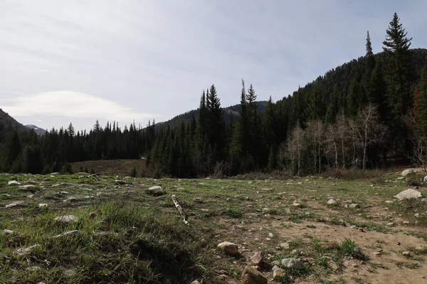 Foto Von Gedenkpark Salt Lake City — Stockfoto