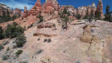 Kanyonların ve Yosun Mağarası Utah 'ın üzerinde uçuyorlar.