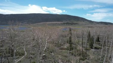 Utah 'taki balık gölünde Aspen' in üzerinde uçarken