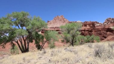 Capitol resif Milli Parkı utah