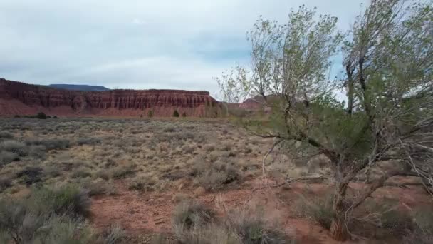 Kanjoner Utah Från Luften — Stockvideo