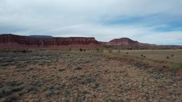 Kanjoner Utah Från Luften — Stockvideo