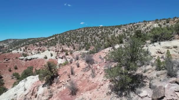 Parque Estatal Petrificado Utah — Vídeo de Stock