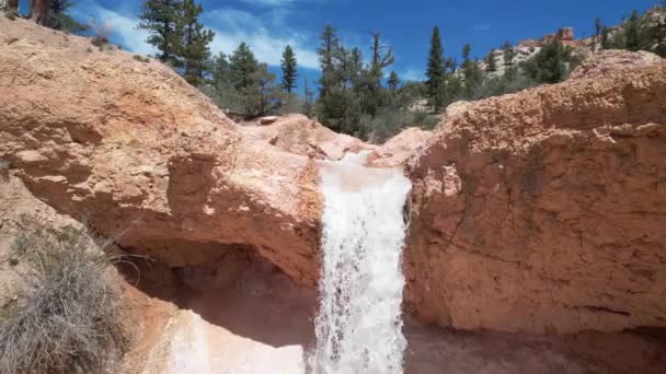 Cascada Mossy Cave Utah — Vídeos de Stock