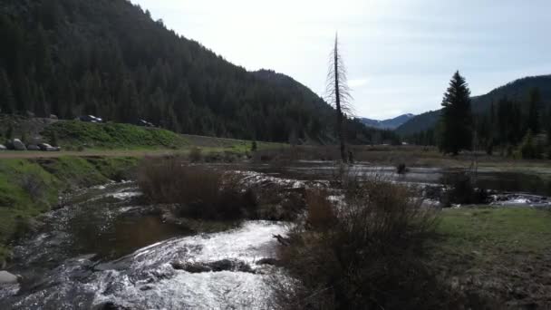 Sorvolando Corsi Acqua Del Canyon Cottonwood Nello Utah — Video Stock