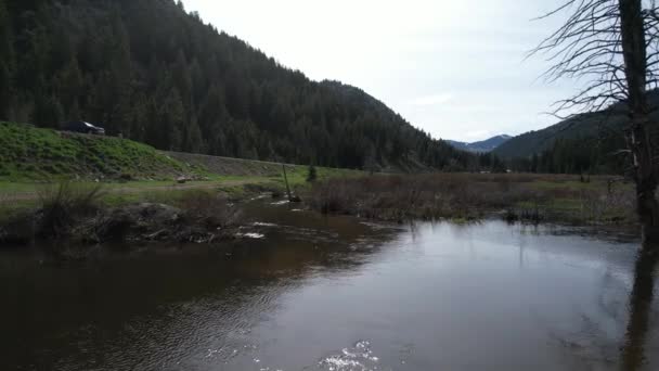 Sorvolando Corsi Acqua Del Canyon Cottonwood Nello Utah — Video Stock