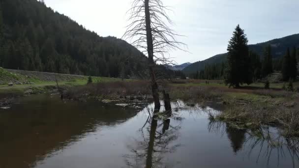 Sorvolando Corsi Acqua Del Canyon Cottonwood Nello Utah — Video Stock