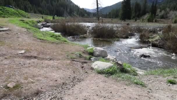 Water Flowing Cottonwood Canyon Utah — Stock Video