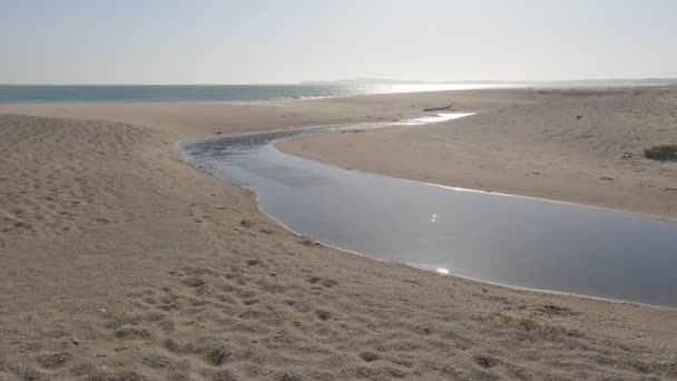 Walking Point Reyes Coast Camp Beach — Stock Video