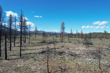 Lassen Ulusal Ormanı California, Fotoğraflar orman üstüne yangın gösteriyor