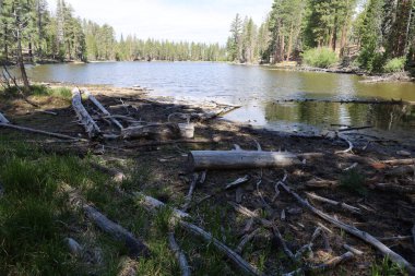 Photo of Lassen national park California