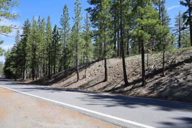 Lassen Ulusal Parkı, Kaliforniya