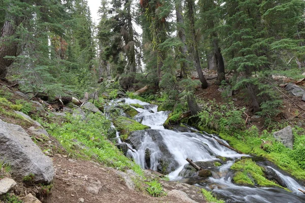 Waterfalls Hat Creek Trail Paradise Meadow Lassen National Park California — Foto Stock