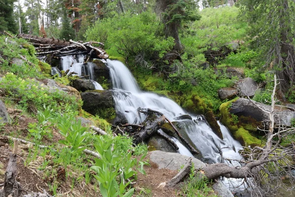 Waterfalls Hat Creek Trail Paradise Meadow Lassen National Park California — Stock fotografie