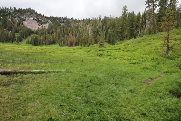 Paradise Meadow Lassen National Park California — 图库照片