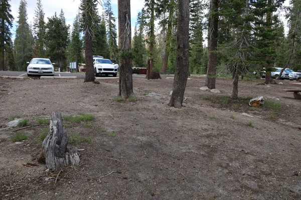 2022 Lassen California Campground Lassen National Park California — стоковое фото