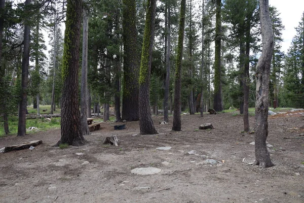 2022 Lassen California Campground Lassen National Park California — Foto de Stock