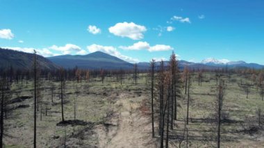 Flying over burnt area in Lassen national forest California