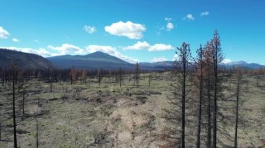 Flying over burnt area in Lassen national forest California