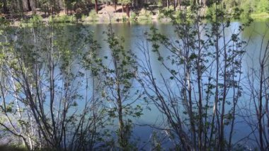 Lassen Ulusal Parkı 'ndaki Manzanita Gölü Kaliforniya