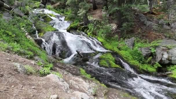 Waterfall Paradise Meadow Lassen National Park California — Video Stock