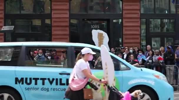 San Francusco Pride Parade 2022 — Vídeo de stock