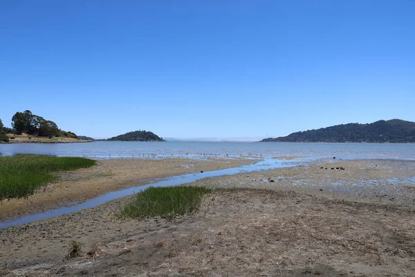 Photo Shoreline Park Tiburon California — Stockfoto