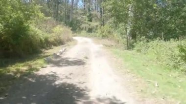 Bisikletli Burleigh Murray Parkı, Yarım Ay Körfezi Kaliforniya