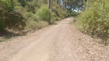 Bisikletli Burleigh Murray Parkı, Yarım Ay Körfezi Kaliforniya