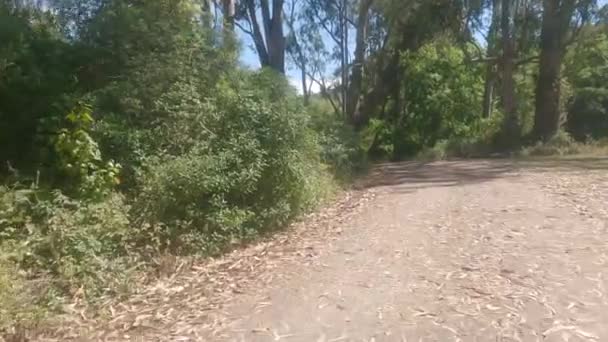 Bisikletli Burleigh Murray Parkı Yarım Körfezi Kaliforniya — Stok video