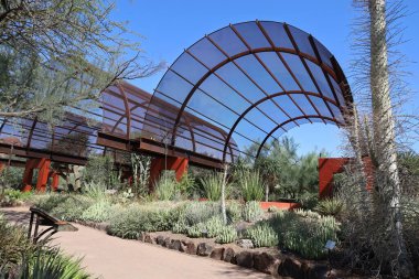 Phoenix, Arizona: 8-20-2022 Phoenix Botanik Bahçeleri 'nde çöl bitkisi