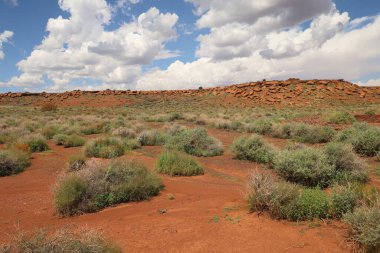 Fotoğraf: Wupatki Ulusal Anıtı Arizona