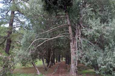 8-30-2022: Flagstaff, Arizona: Riordan Mansion