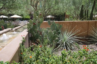 8-31-2022: Phoenix, Arizona: Phoenix Sanat Müzesi 