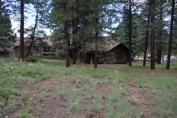 2022 Flagstaff Arizona Riordan Mansion — Stock Photo, Image