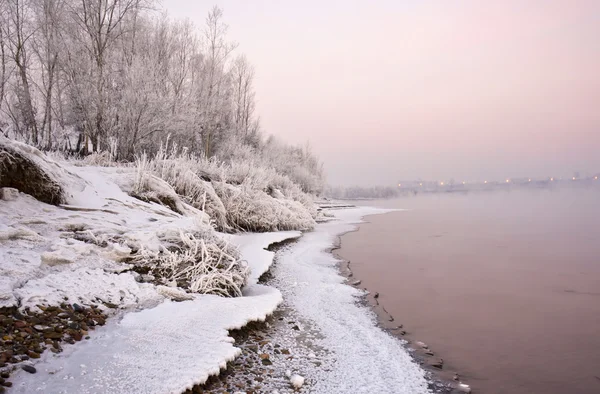 Árboles en las orillas nevadas del río —  Fotos de Stock